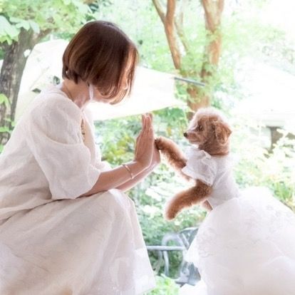 MCまみこと🐶シェリー