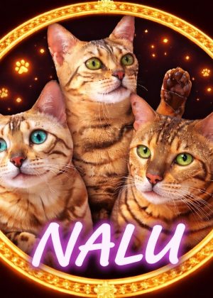 ナルと愉快な仲間たち😈Nalu&HappyFellows